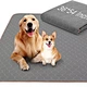 luxury dog beds for large dogs